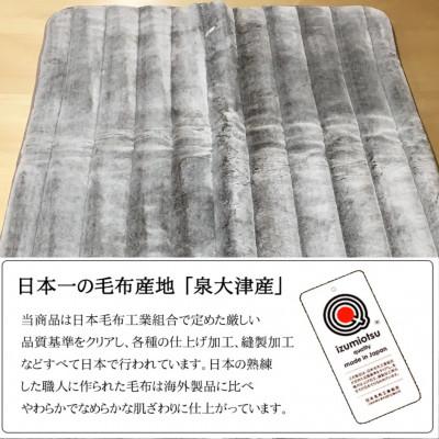 ふるさと納税 泉大津市 ボリュームタイプ　オーロラ　マイヤー敷パッド　シングル　ブラウン　1枚　N-MGP-2350 |  | 01