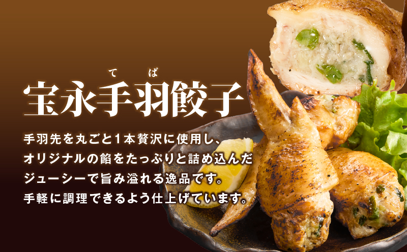 【定期便・全6回 毎月】手包み餃子 ぎょうざの宝永 手羽餃子40個セット（宝永餃子15個入×2袋・手羽餃子5個入×2袋）　T004-T06-02-04