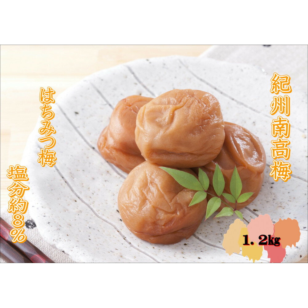 【ふるさと納税】【家庭用】紀州南高梅　はちみつ梅　1.2kg