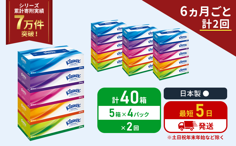 定期便 ティッシュ クリネックス ティシュー 5箱入×4パック《6ヶ月ごと計2回》 ティッシュペーパー セット 柔らかい 節約 日用品 日用雑貨 備蓄 備蓄用 防災 災害 ボックスティッシュ テッシュ ペーパー ローリングストック 宮城 岩沼市