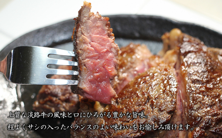 淡路牛霜降りステーキ 100g×5枚【2025年11月より順次発送】　　[冷凍 国産 牛肉 おすすめ]