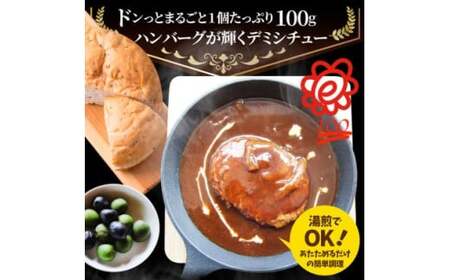 ハンバーグデミシチュー　220g×5食セット　(総重量1.1kg)_mk146-154