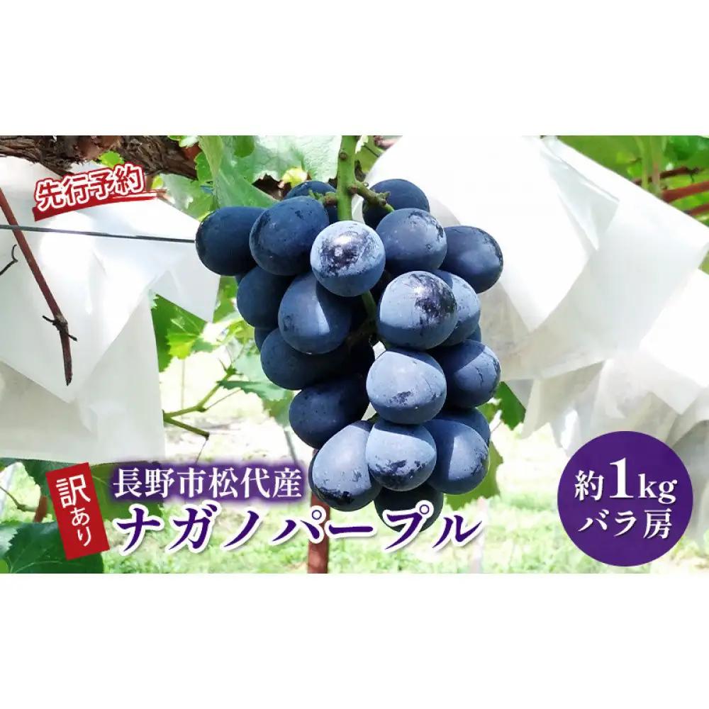 高野農園　ぶどう  訳あり 長野市松代産 ナガノパープル 約1kg バラ房 果物 ブドウ 葡萄 フルーツ デザート おやつ 種なし TAKANO農園 信州 | ぶどう