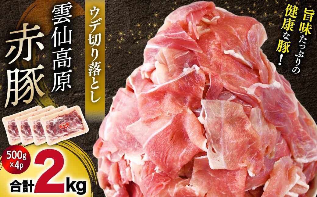 
            長崎県産 雲仙高原 赤豚 国産 豚ウデ 切り落とし2kg（500ｇ×4P入） 長崎県/長崎県農産品流通合同会社 [42AMAE004] 切り落とし 大容量 小分け しゃぶしゃぶ
          