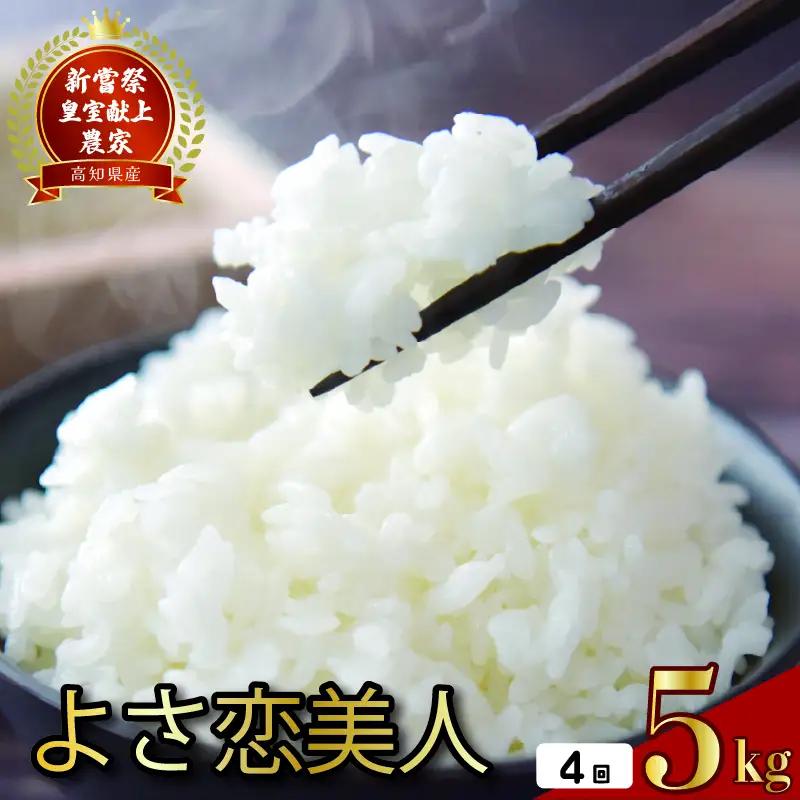 【令和8年産】 新米 定期便 5kg×4回 よさ恋美人 新米 AS007
