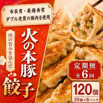 ふるさと納税 和水町 【毎月定期便】火の本豚 餃子 20個入り×6パック (和水町)全6回