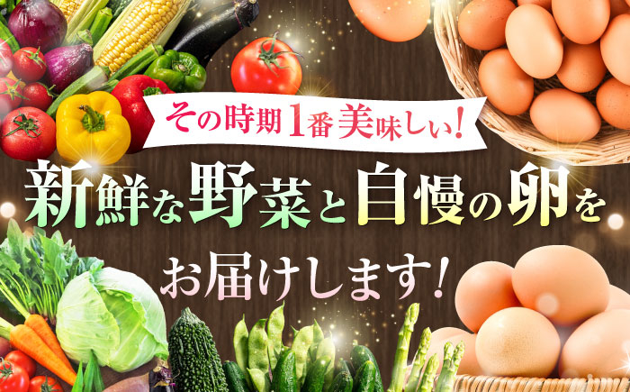 たまご 生卵 タマゴ 詰合せ セット 野菜 新鮮 旬 定期便 熊本県 特産品