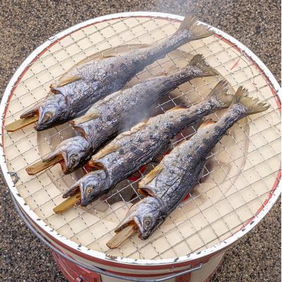 ふるさと納税 安芸高田市 安芸高田 滝ヶ谷 やまめ串(8尾入り)[No5895-0625] |  | 02