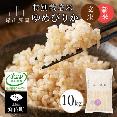 ふるさと納税 知内町 【令和7年産新米予約】玄米 ゆめぴりか 10kg　特別栽培米産地直送《帰山農園》