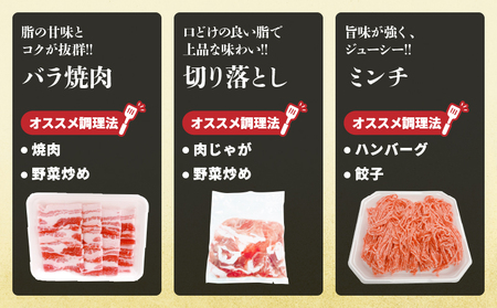 宮崎県産 豚肉 5種 セット (合計3kg) 国産 食品 豚バラ 切り落とし ロース スライス ミンチ 焼肉 BBQ しゃぶしゃぶ 生姜焼き とんかつ ソテー 豚丼 ハンバーグ 個包装 小分け おすす