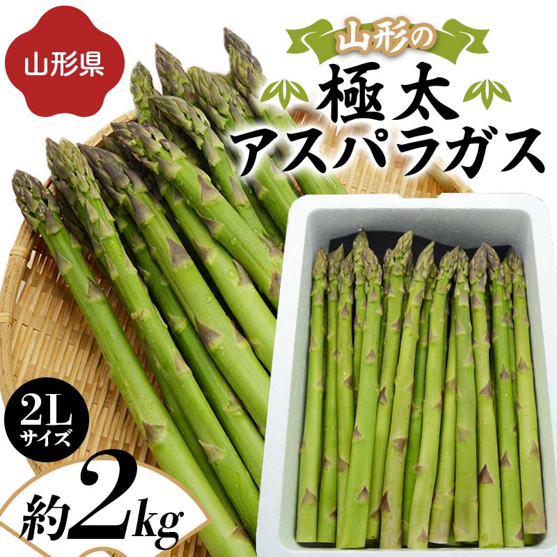 【ふるさと納税】 《先行予約 2026年度発送》山形の極太アスパラガス 約2kg（2Lサイズ） FSY-1265
