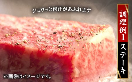 【12回定期便】 A5ランク 佐賀牛 高級 霜降り 食べ比べ 定期便 約2人前 総計4kg 20万 /焼肉どすこい [UCC002] 佐賀牛 牛肉 黒毛和牛 佐賀牛ステーキ 佐賀牛ロース 佐賀牛霜降り