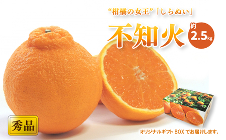 【先行予約】【2026年2月上旬頃から発送予定】不知火(しらぬい) ＜秀品＞ 約2.5kg (L-3L / 8-12玉 ) ギフトBOX入り | みかん 不知火 秀品 贈答箱 愛媛県 松山市 ココオ Koko'o【KK3121】