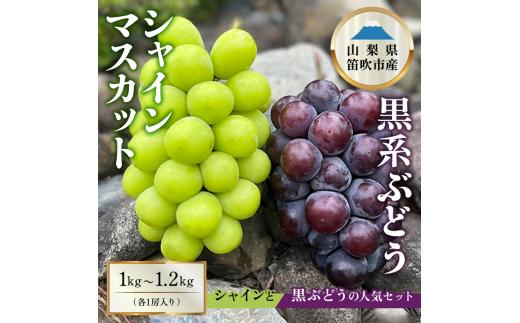 シャインマスカット×黒系ぶどう1㎏～1.2kg 154-045
