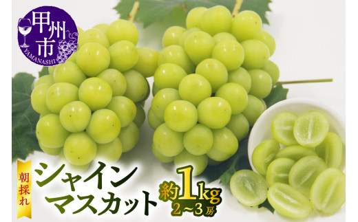 【宿沢フルーツ農園】シャインマスカット 約1.0kg（2～3房）【2026年発送】（SF）B-181【シャインマスカット 葡萄 ぶどう ブドウ 令和8年発送 山梨県産 甲州市 フルーツ 果物】