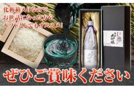 日本酒 日本城 大吟醸（純米大吟醸酒）720ml 酒のねごろっく 《90日以内に出荷予定(土日祝除く)》和歌山県 岩出市 日本酒 酒 さけ