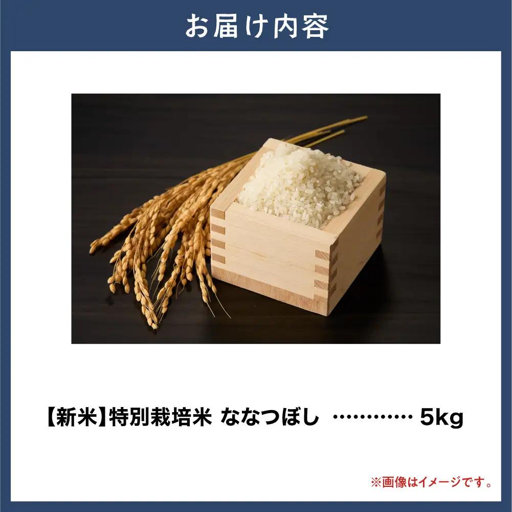 【令和8年度先行受付】大塚農場 特別栽培米ななつぼし　5kg | 米 白米 北海道 当別町