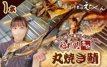 【福井県名物】丸焼き鯖 1本 職人の焼きで香ばしくジューシー【さば 焼き魚 焼き サバ 丸焼き 惣菜 半夏生 はんげしょう 酒の肴 郷土料理】 [e38-a004]