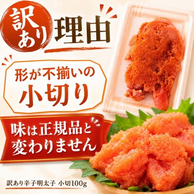 訳あり辛子明太子　小切500g(100g×5p)(大野城市)【配送不可地域：離島】