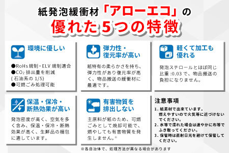 アローエコマット2 防災用品 防寒グッズ 断熱シート 使い捨て 防災 防災マット 防災グッズ 寒さ対策 一時避難 クッション 避難生活 アウトドア キャンプ 車中泊 マットレス ベッド 車中泊マット 