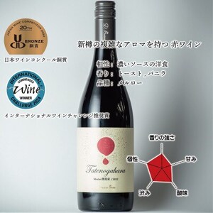 立野原 メルロー 樽熟成 2022【配送不可地域：離島】【1623344】