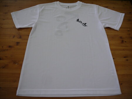 【ふるさと納税】 【選べるサイズ】熊野古道Tシャツ【KODOTシャツ・白】 ( S / M / L / XL ) ドライメッシュ生地