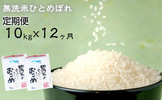 ≪令和5年産 新米≫　減農薬栽培 ひとめぼれ 無洗米 10kg 定期便 12ヶ月 【717】