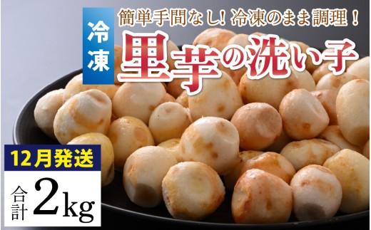 【先行予約】【12月発送】簡単手間なし！冷凍のまま調理！大野の里芋の洗い子 計2kg (1kg × 2袋)  【冷凍】 ｜ 里芋 洗い子