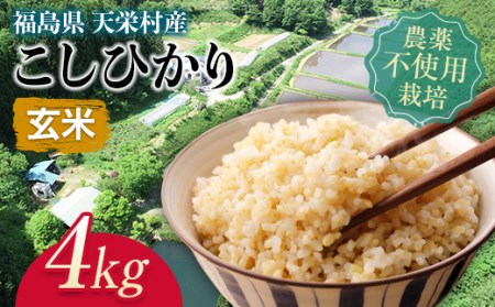 ＜2025年12月上旬以降発送＞自然農法で育ったお米「こしひかり」玄米4kg コシヒカリ 米 お米 ブランド米 銘柄米 備蓄 日本米 こしひかり コメ ごはん ご飯 食品 F21T-143