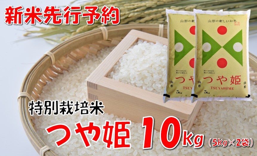 【令和7年新米  先行予約】山形県小国町産 つや姫10kg（5kg×2袋）　　小国米穀商業協同組合