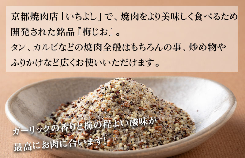焼き肉専門店 梅じお ガーリック スパイス 90g×3袋 お試し 005A561_イメージ2