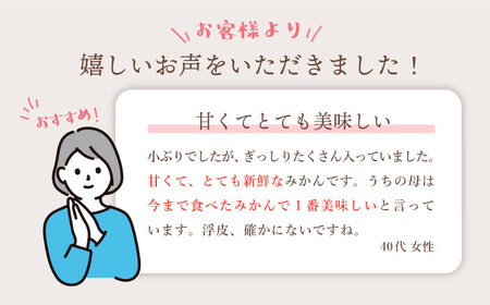 【先行予約☆優品】石地みかん 約10kg（傷み保証分300g含む）＜川添みかん園＞ [CCT006]  みかん ミカン みかん ミカン みかん ミカン 蜜柑 柑橘 石地みかん 西海みかん 石地みかん温