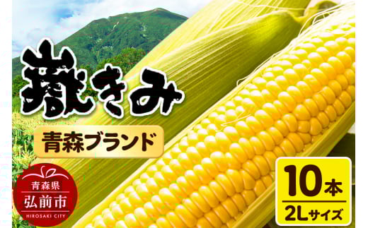 とうもろこし 青森県弘前市産 嶽きみ（だけきみ）2Lサイズ 10本 【岩木山麓嶽高原産 とうもろこし】