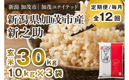 【令和7年産】【定期便12ヶ月毎月お届け】新潟県産 新之助 玄米30kg（10kg×3袋）《順次発送》 新潟県産新之助 新潟産新之助 加茂市産新之助 新之助 しんのすけ 新潟 ブランド米 新之助 加茂市 加茂ユナイテッド