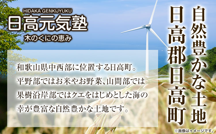 木の国の恵みなた豆茶(50g×3個) 日高元気塾《90日以内に出荷予定(土日祝除く)》 和歌山県 日高町 なた豆 豆 お茶 茶