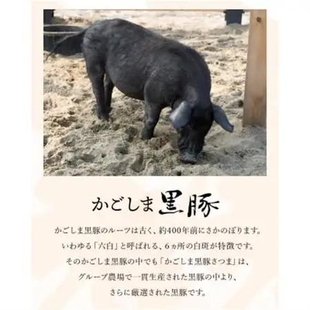 南九州市産かごしま黒豚さつまバラエティ 3.12kg【配送不可地域：離島】【1186092】