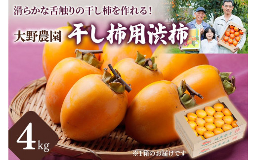 先行予約【令和8年産】大野農園の干し柿用渋柿（4kg) 【滑らかな舌触りの干し柿を手作りで！】サイズ不揃い 訳あり 11月発送予定