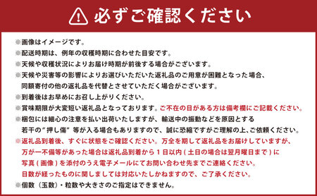 ラ・フランス （特秀) 2kg【化粧箱入り】 山形県産 フルーツ 果物 【2025年11月上旬-12月上旬発送予定】