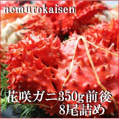 ふるさと納税 根室市 【北海道根室産】花咲ガニ350g×8尾 C-57048