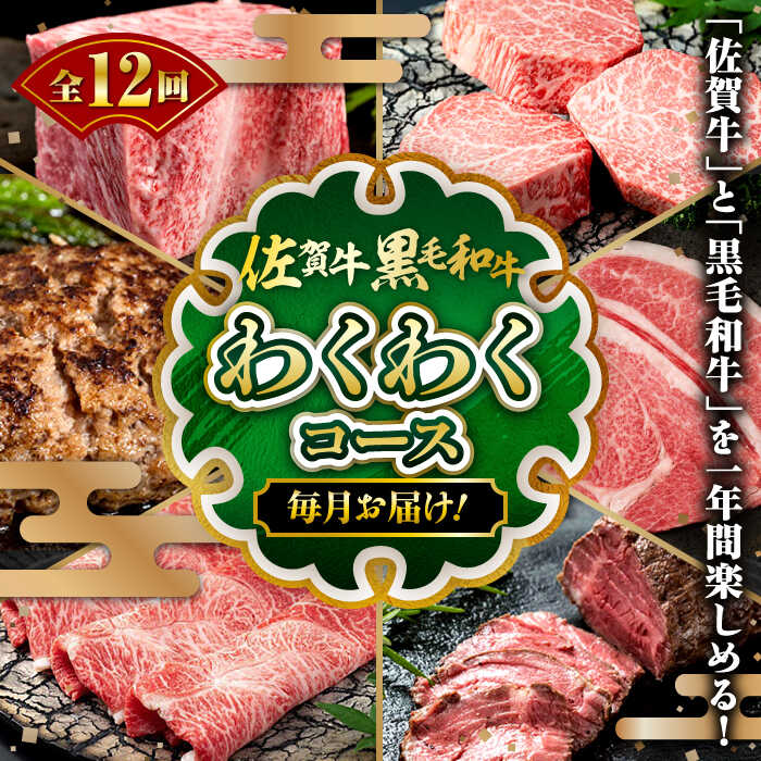 【ふるさと納税】【全12回定期便】佐賀牛＆黒毛和牛「わくわくコース」 / 佐賀県 / 佐嘉ZEYTAKUYA[41AQAA033]