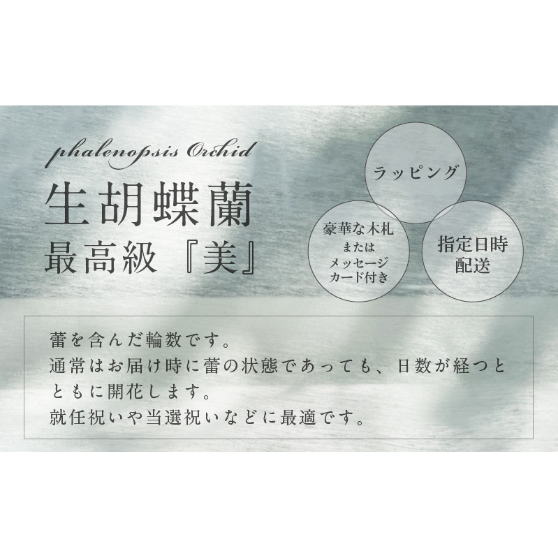 5本立て 胡蝶蘭 50輪～60輪 白色【木製大型木札 または メッセージカード 付き ラッピング お祝い ギフト 贈答 贈り物 プレゼント 生花 花 農福連携】 099H385_イメージ2