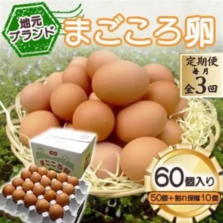 【毎月定期便】「地元ブランド」まごころ卵60個入り(卵50個と割れ保障10個)　鶏卵(生食用)全3回【配送不可地域：離島】【4070042】