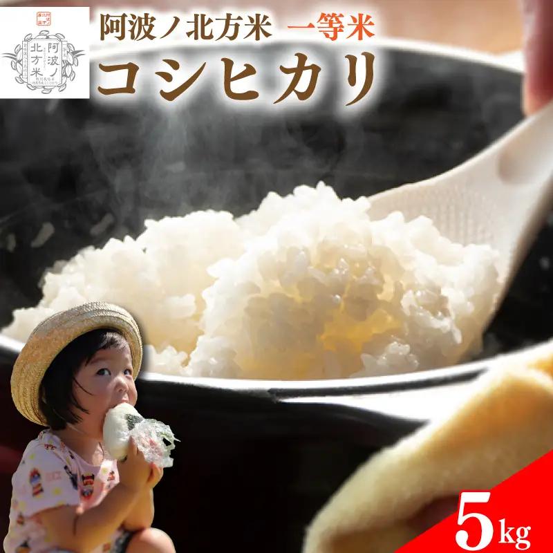 コシヒカリ 米 5kg 令和7年産 阿波ノ北方米 【 お米 】