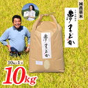 【ふるさと納税】【希少品種】【令和6年産】減農薬米　夢まどか10kg×1袋