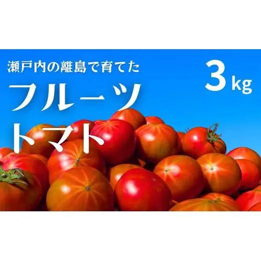 【先行予約】 【甘みがジュワ～っ！】瀬戸内のフルーツトマト 3kg 糖度8度以上 【 2027年4月中旬発送開始 】 大崎上島 越田農園
