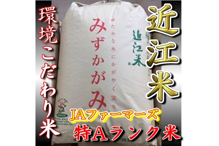 【新米】【令和7年産】環境 こだわり 米 みずかがみ 玄米 【 30kg × 1袋 】 【K073U1】