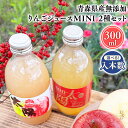 【ふるさと納税】≪本数が選べる!≫青森県産 無添加 りんごジュースMINI 300ml 6本 12本【青森県 平川市 そと川りんご園】青森 青森県産 平川 ジュース リンゴジュース 林檎ジュース フルーツジュース レビューキャンペーン