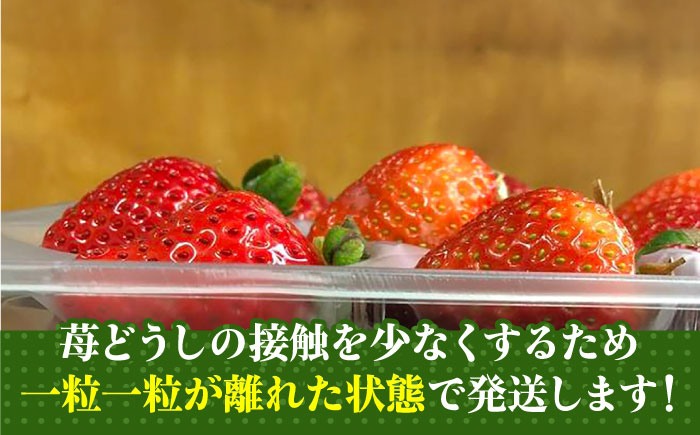 【2025年2月1日より順次発送】農家直送 朝採り新鮮いちご【博多あまおう】約270g×2《築上町》【株式会社H&Futures】 [ABDG003] 8000円 8千円 8000円 8千円