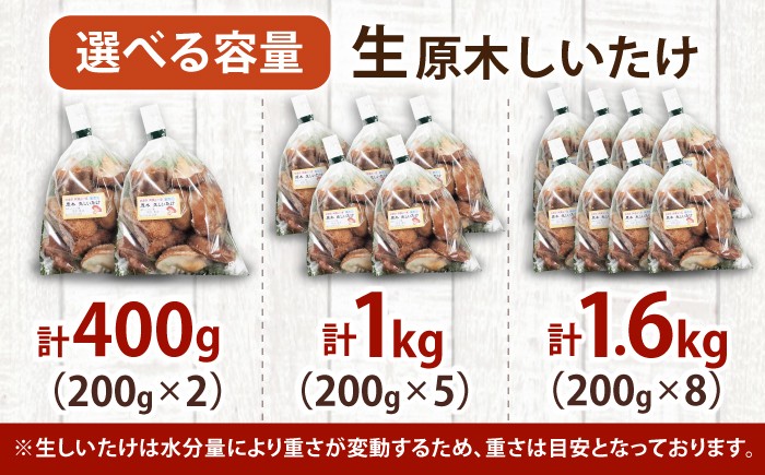 椎茸 しいたけ シイタケ 訳あり 鍋 鉄板焼き 茶碗蒸し 肉詰め BBQ 出汁 料理 国産 岐阜 白川町