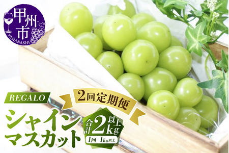 【シーズン中2回お届け定期便】頬張る幸福感～緑の宝石・シャインマスカット～1kg以上 2～3房【2026年発送】（RG）C-426 シャインマスカット フルーツ
